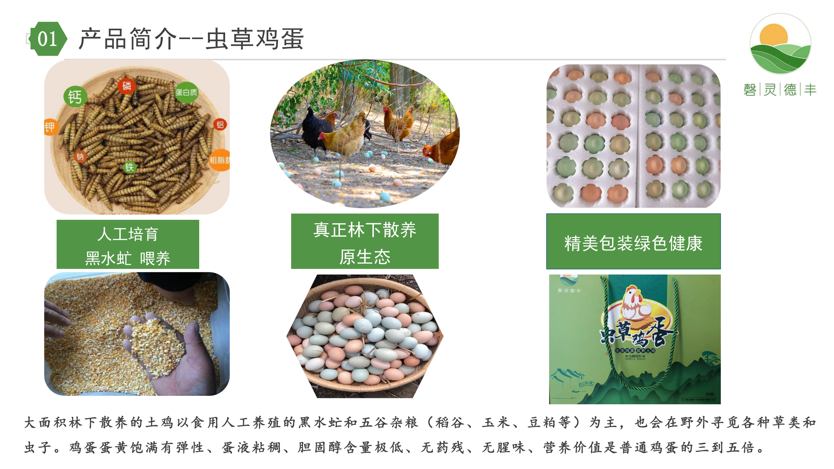 德豐生態(tài)農(nóng)業(yè)有限公司_07.png